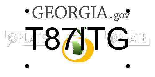 T87ITG Georgia License Plate