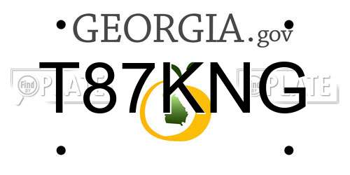 T87KNG Georgia License Plate