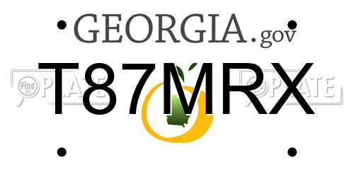 T87MRX Georgia License Plate