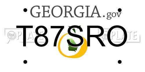 T87SRO Georgia License Plate