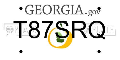 T87SRQ Georgia License Plate