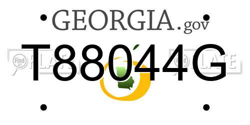 T88044G Georgia License Plate