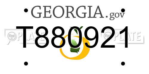 T880921 Georgia License Plate