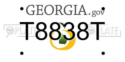 T8838T Georgia License Plate