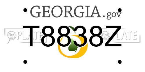 T8838Z Georgia License Plate