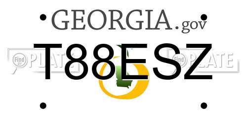 T88ESZ Georgia License Plate