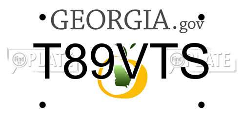 T89VTS Georgia License Plate