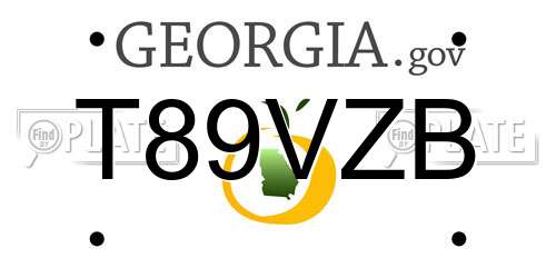T89VZB Georgia License Plate
