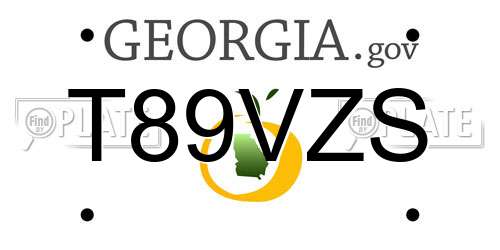 T89VZS Georgia License Plate