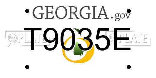 T9035E Georgia License Plate