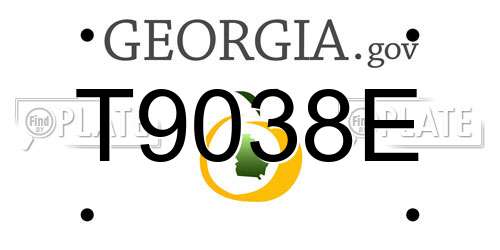 T9038E Georgia License Plate