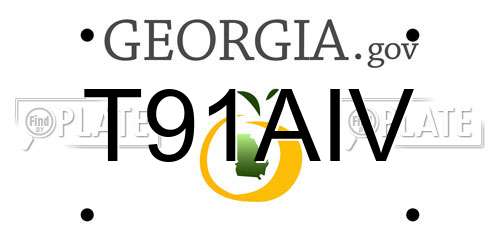 T91AIV Georgia License Plate