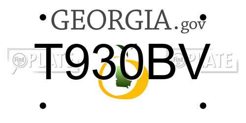 T930BV Georgia License Plate