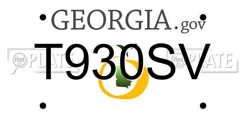 T930SV Georgia License Plate