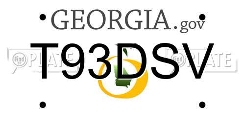 T93DSV Georgia License Plate