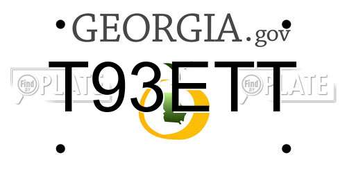 T93ETT Georgia License Plate