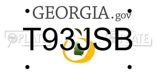 T93JSB Georgia License Plate