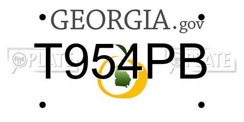 T954PB Georgia License Plate