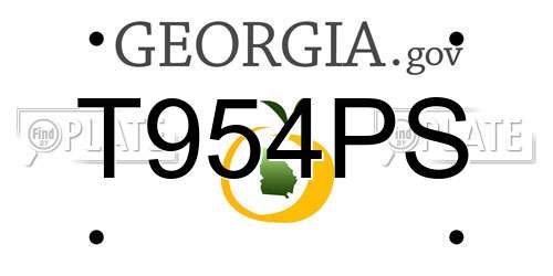 T954PS Georgia License Plate