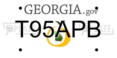 T95APB Georgia License Plate