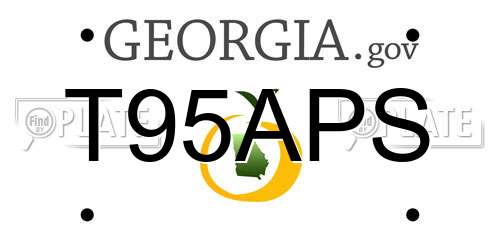 T95APS Georgia License Plate