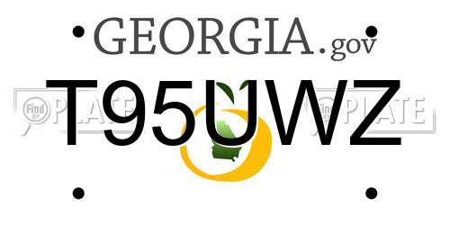 T95UWZ Georgia License Plate