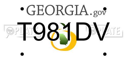 T981DV Georgia License Plate