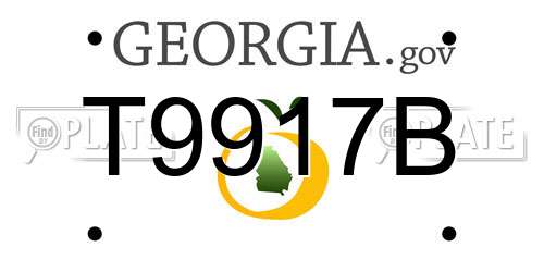 T9917B Georgia License Plate