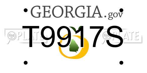 T9917S Georgia License Plate