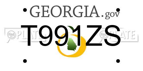 T991ZS Georgia License Plate