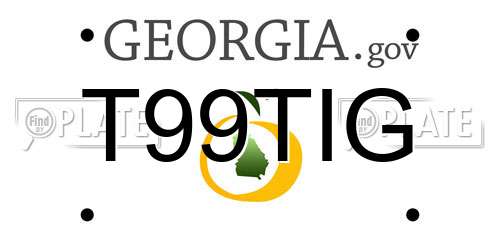 T99TIG Georgia License Plate