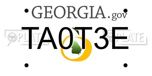 TA0T3E Georgia License Plate