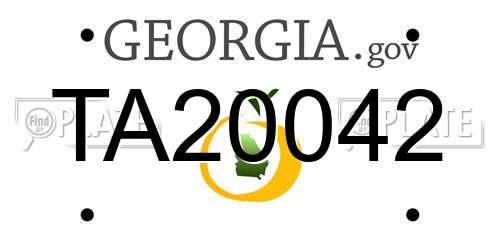 TA20042 Georgia License Plate