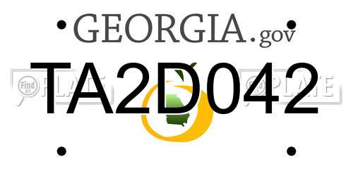 TA2D042 Georgia License Plate