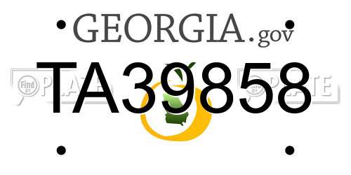 TA39858 Georgia License Plate
