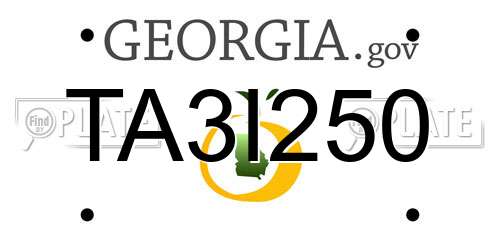 TA3I250 Georgia License Plate