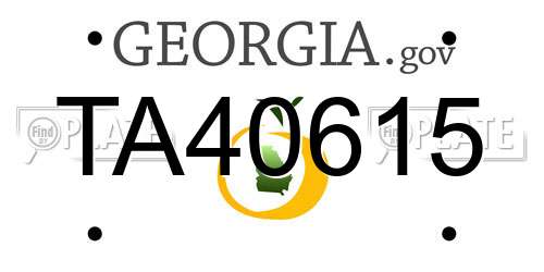 TA40615 Georgia License Plate