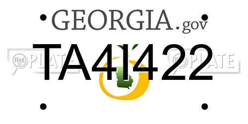 TA4I422 Georgia License Plate