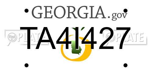 TA4I427 Georgia License Plate