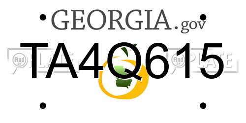 TA4Q615 Georgia License Plate