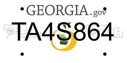 TA4S864 Georgia License Plate