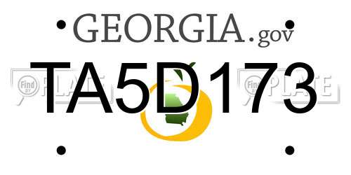 TA5D173 Georgia License Plate