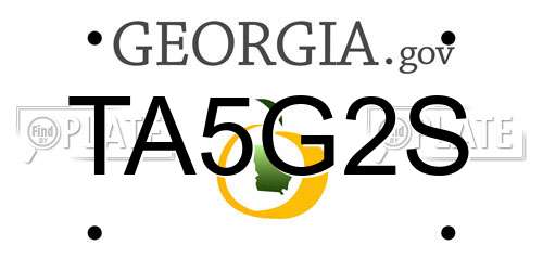 TA5G2S Georgia License Plate