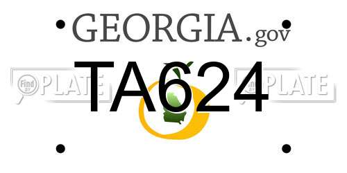 TA624 Georgia License Plate