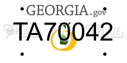 TA70042 Georgia License Plate