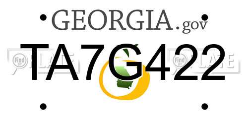 TA7G422 Georgia License Plate