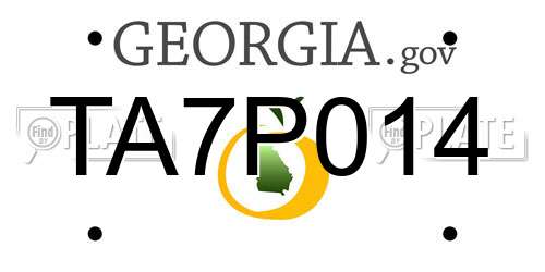 TA7P014 Georgia License Plate