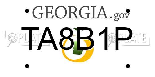 TA8B1P Georgia License Plate