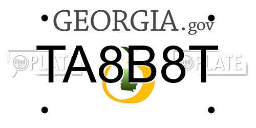 TA8B8T Georgia License Plate