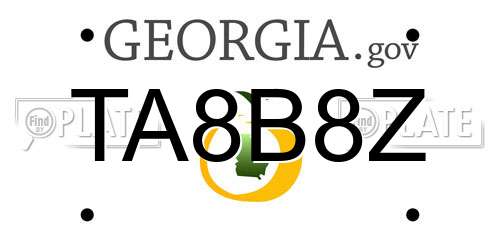 TA8B8Z Georgia License Plate